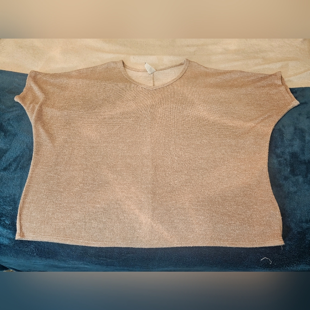 HoneyMeCurvy XL Gold Shimmer Like Material Flowy V-Neck Short Sleeve Top